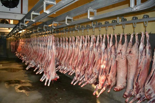 Slaughter Waste Rendering Plant Disposal Methods: New Ideas for Win-Win Environmental Protection and Benefits